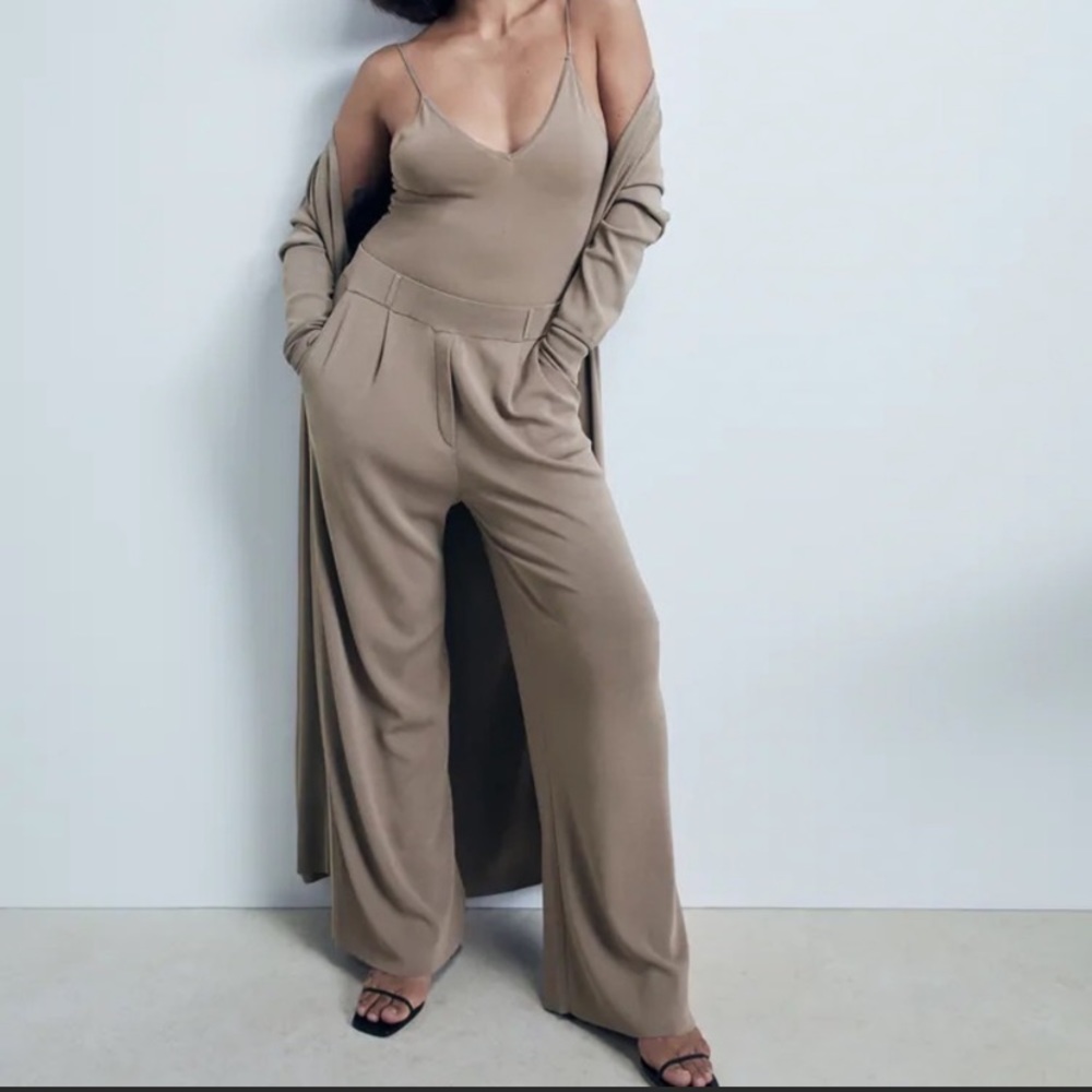 ZARA Pleated Knit Pants